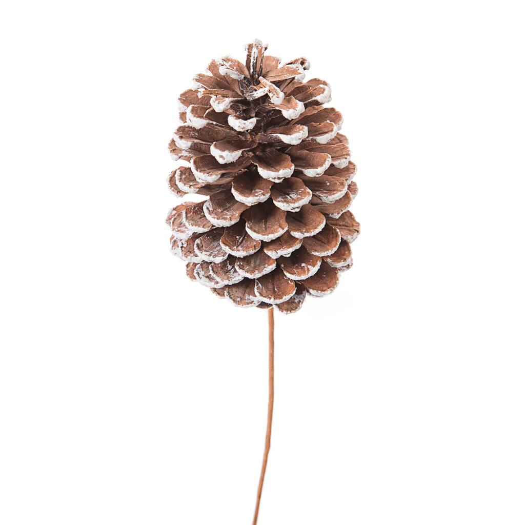 D209397S_1.jpg img